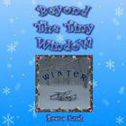 Beyond The Tiny Window: Winter By Irene Kueh Cover Image