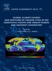 Global Climate Change and Response of Carbon Cycle in the Equatorial Pacific and Indian Oceans and Adjacent Landmasses: Volume 73 (Elsevier Oceanography #73) By Hodaka Kawahata (Editor), Yoshio A. Awaya (Editor) Cover Image