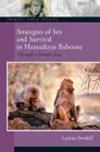 Strategies of Sex and Survival in Female Hamadryas Baboons: Through a Female Lens (Primate Field Studies) By Larissa Swedell Cover Image