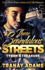 These Scandalous Streets: Tyson's Treasure Cover Image