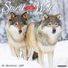 Spirit of the Wolf 2024 12 X 12 Wall Calendar By Willow Creek Press Cover Image