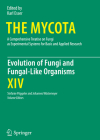 Evolution of Fungi and Fungal-Like Organisms (Mycota #14) Cover Image