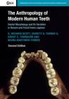 The Anthropology of Modern Human Teeth: Dental Morphology and Its Variation in Recent and Fossil Homo Sapiens (Cambridge Studies in Biological and Evolutionary Anthropolog #79) By G. Richard Scott, Christy G. Turner II, Grant C. Townsend Cover Image