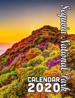 Sequoia National Park Calendar 2020: Beautiful Scenes of Gigantic Sequoia Trees and Other Wonders of the Park By Calendar Gal Press Cover Image