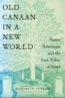Old Canaan in a New World: Native Americans and the Lost Tribes of Israel (North American Religions #2) By Elizabeth Fenton Cover Image