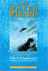 The Water Wizard: The Extraordinary Properties of Natural Water (Eco-Technology #1) Cover Image