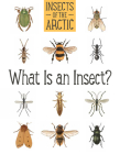 Insects of the Arctic: What Is an Insect?: English Edition By Carolyn Mallory, Amiel Sandland (Illustrator) Cover Image