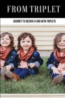 From Triplet: Journey To Become A Dad With Triplets: How To Be A Good Father And Husband By Mohammad Flechas Cover Image