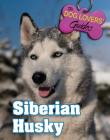 Siberian Husky (Dog Lover's Guides #18) By Robert Lockwood Cover Image