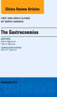 The Gastrocnemius, an Issue of Foot and Ankle Clinics of North America: Volume 19-4 (Clinics: Orthopedics #19) Cover Image