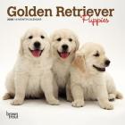 Golden Retriever Puppies 2020 Mini 7x7 Cover Image