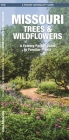 Missouri Trees & Wildflowers: An Introduction to Familiar Species (Pocket Naturalist Guide) By James Kavanagh, Waterford Press, Raymond Leung (Illustrator) Cover Image