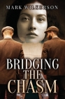 Bridging The Chasm Cover Image