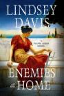 Enemies at Home: A Flavia Albia Novel (Flavia Albia Series #2) By Lindsey Davis Cover Image