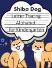 Trace Letters alphabet for kindergarten child's writing muscles: letter tracing for preschoolers, line tracing workbook, handwriting workbook kinderga Cover Image