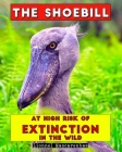 The Shoebill: At high risk of extinction in the wild Cover Image
