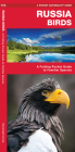 Russia Birds: A Folding Pocket Guide to Familiar Species (Pocket Naturalist Guide) Cover Image