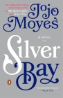 Silver Bay: A Novel Cover Image