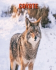 Coyote: Imágenes asombrosas y datos curiosos Cover Image