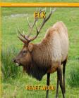 Elk: Beautiful Pictures & Interesting Facts Children Book about Elk By Renee Wood Cover Image