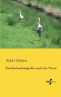 Dreifarbenfotografie nach der Natur By Adolf Miethe Cover Image