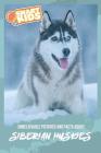 Unbelievable Pictures and Facts About Siberian Huskies By Olivia Greenwood Cover Image