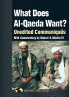 What Does Al Qaeda Want?: Unedited Communiques (Terra Nova) By Robert O. Marlin, IV (Commentaries by) Cover Image