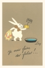 Vintage Journal Rabbit Preparing to Bathe Cover Image
