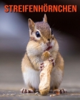 Streifenhörnchen: Schöne Bilder & Kinderbuch mit interessanten Fakten über Streifenhörnchen By Katie Mercer Cover Image