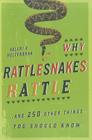 Why Rattlesnakes Rattle: ...and 250 Other Things You Should Know By Valeri R. Helterbran Cover Image