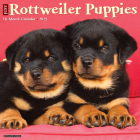 Just Rottweiler Puppies 2023 Wall Calendar By Willow Creek Press Cover Image