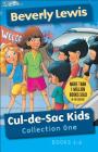 Cul-De-Sac Kids Collection One: Books 1-6 By Beverly Lewis, Janet Huntington (Illustrator) Cover Image