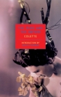 The Pure and the Impure By Colette, Judith Thurman (Introduction by), Herma Briffault (Translated by) Cover Image