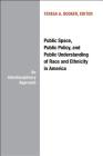Public Space, Public Policy and Public Understanding of Race and Ethnicity in America: An Interdisciplinary Approach Cover Image