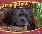 Orangutans (Asian Animals) By Joanne Mattern Cover Image