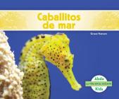 Caballitos de Mar (Seahorses) (Spanish Version) By Grace Hansen Cover Image