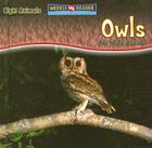Owls Are Night Animals Cover Image