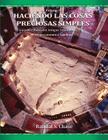Guía de Estudio del Antiguo Testamento, Parte 2: de Deuteronomio a Salomón (Haciendo Las Cosas Preciosas Simples, Vol. 8) By Randal S. Chase, Michael D. Chase (Editor), Susana Passeron (Translator) Cover Image