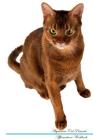 Abyssinian Cat Affirmations Workbook Abyssinian Cat Presents: Positive and Loving Affirmations Workbook. Includes: Mentoring Questions, Guidance, Supp Cover Image