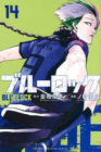 Blue Rock 14 Cover Image