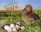 Así Nace... Un Pato By Claire Llewellyn, Simon Mendez (Illustrator) Cover Image