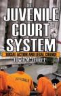 The Juvenile Court System: Social Action and Legal Change Cover Image