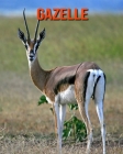 Gazelle: Amazing Facts about Gazelle By Devin Haines Cover Image