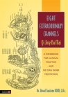 Eight Extraordinary Channels: Qi Jing Ba Mai: A Handbook for Clinical Practice and Nei Dan Inner Meditation By David Twicken Cover Image