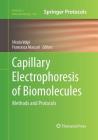 Capillary Electrophoresis of Biomolecules: Methods and Protocols (Methods in Molecular Biology #984) By Nicola Volpi (Editor), Francesca Maccari (Editor) Cover Image