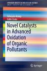 Novel Catalysts in Advanced Oxidation of Organic Pollutants By Süheyda Atalay, Gülin Ersöz Cover Image