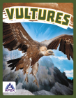 Vultures By Megan Gendell Cover Image