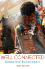 Well Connected: Everyday Water Practices in Cairo By Tessa Farmer Cover Image