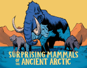 Surprising Mammals of the Ancient Arctic: English Edition Cover Image