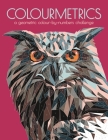 Colourmetrics: A Geometric Colour by Numbers Challenge By Max Jackson Cover Image
